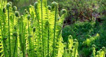 Ei tuhlata hukkaakaan